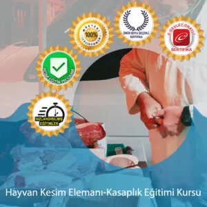 Kasaplik Kursu