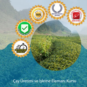 Cay Uretimi Ve Isleme