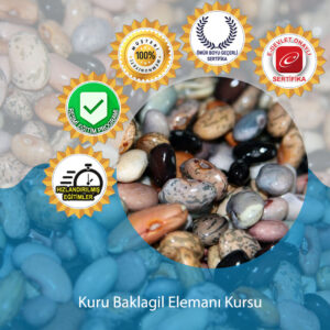 Kuru Baklagil Elemani