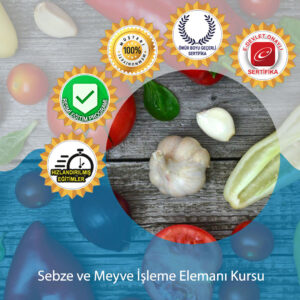 Sebze Ve Meyve Isleme Elemani