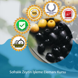 Sofralik Zeytin Isleme Elemani